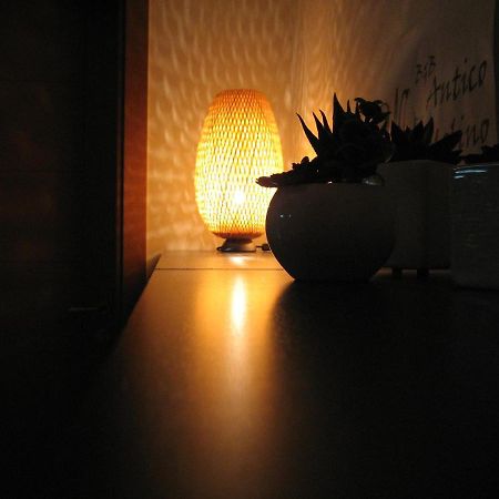 Antico Molino Bed & Breakfast ตรานิ ภายนอก รูปภาพ